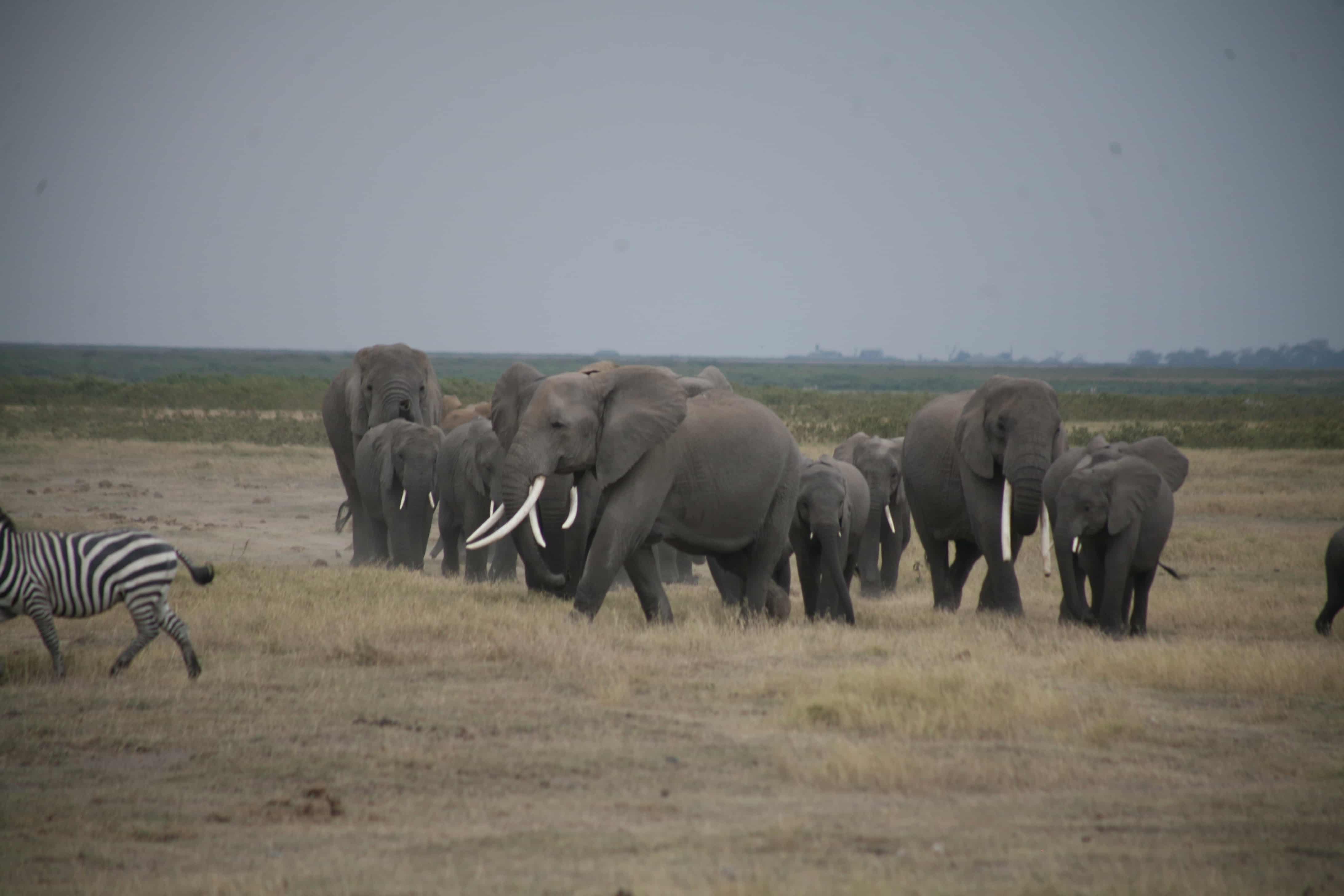 Kenya Destinations