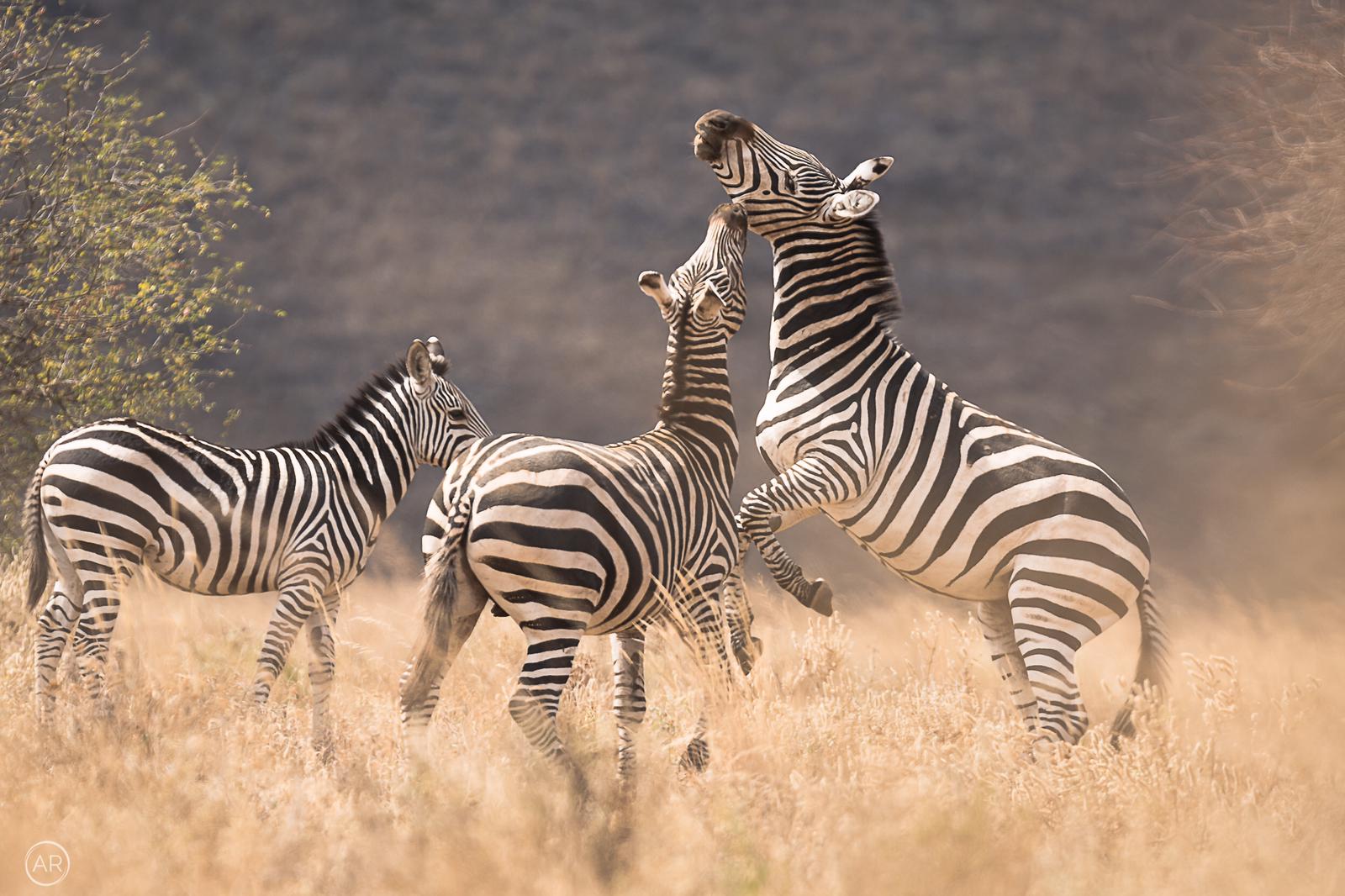 Kenya Destinations