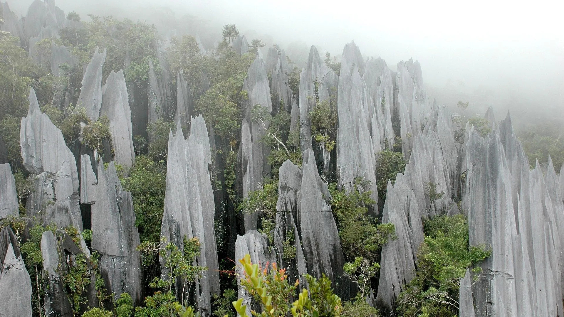 malaysia